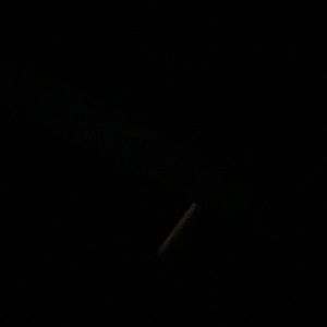 Meet your Posher, Salena